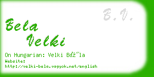 bela velki business card